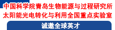 中國科學院青島生物能源與過程研究所太陽能光電轉化與利用全國重點實驗室誠邀全球英才
